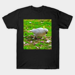 Cockatoo among flower petals! T-Shirt